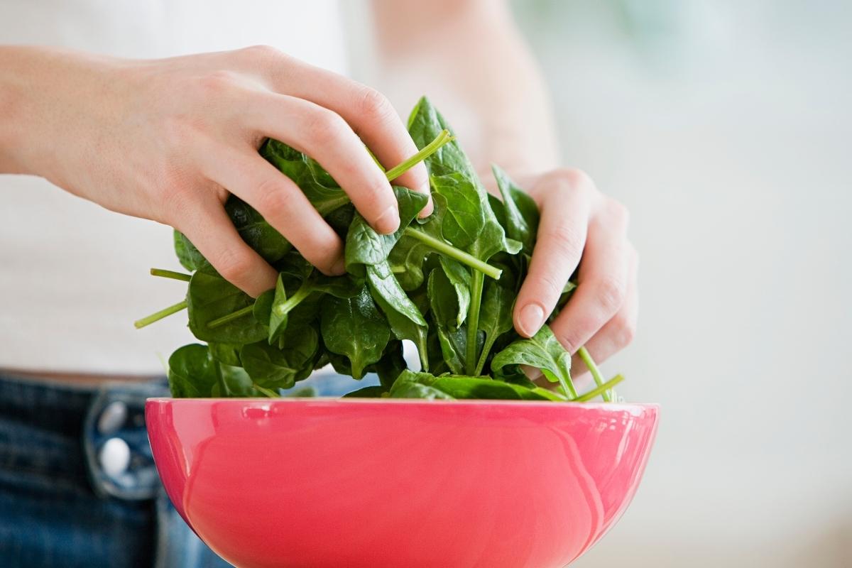 Como fazer um canteiro incrível de espinafre? Confira agora mesmo dicas que vão te auxiliar