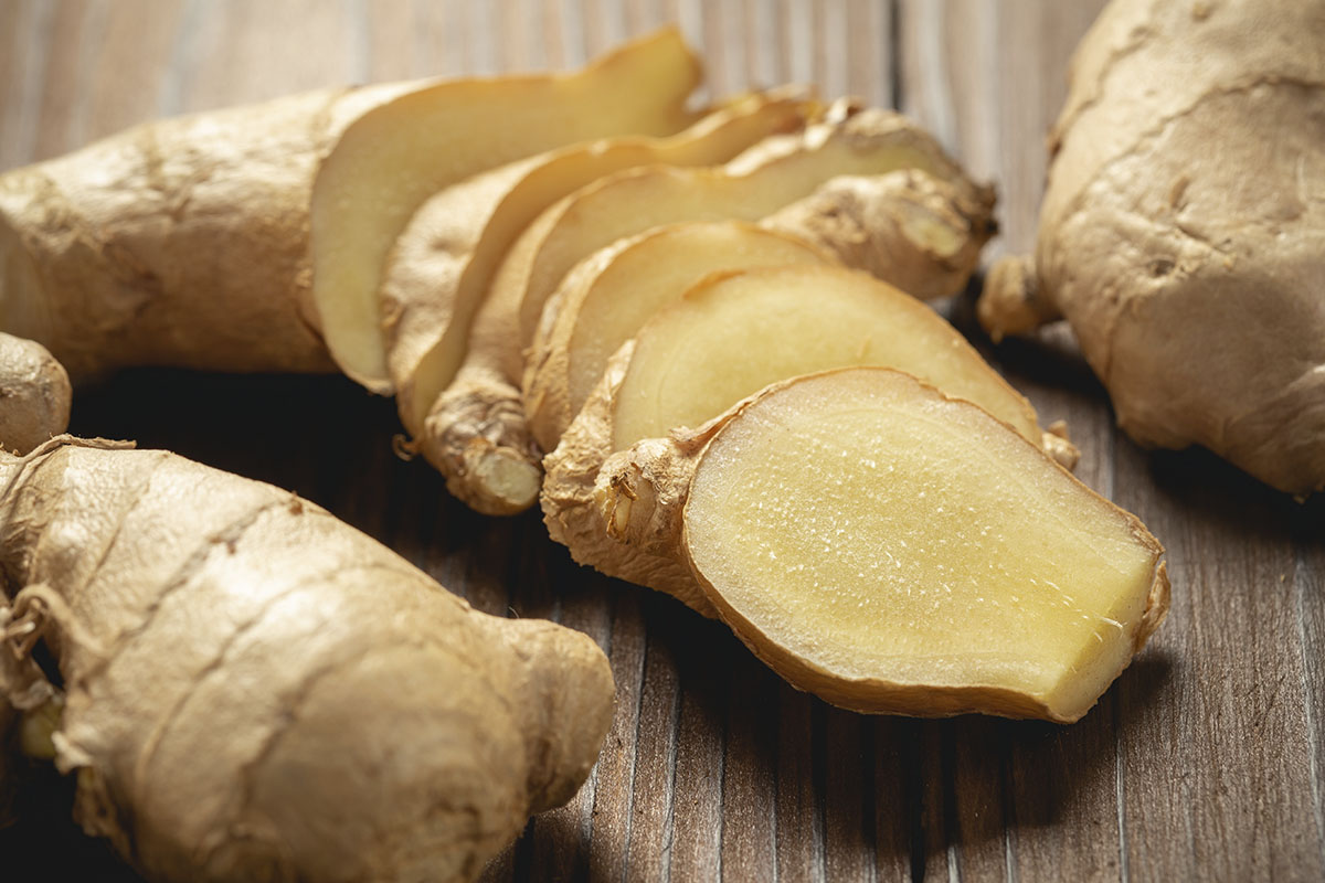 Como plantar - Reprodução Freepik