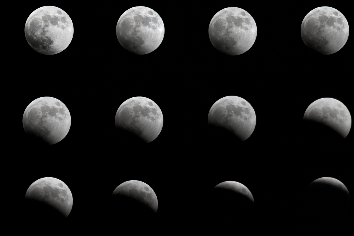 O que plantar na lua nova Reprodução Canva Pró