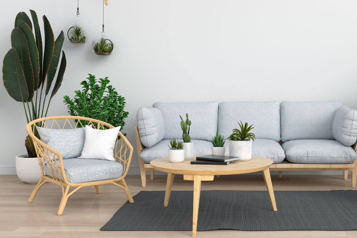 Mini Cacto - Reprodução Canva