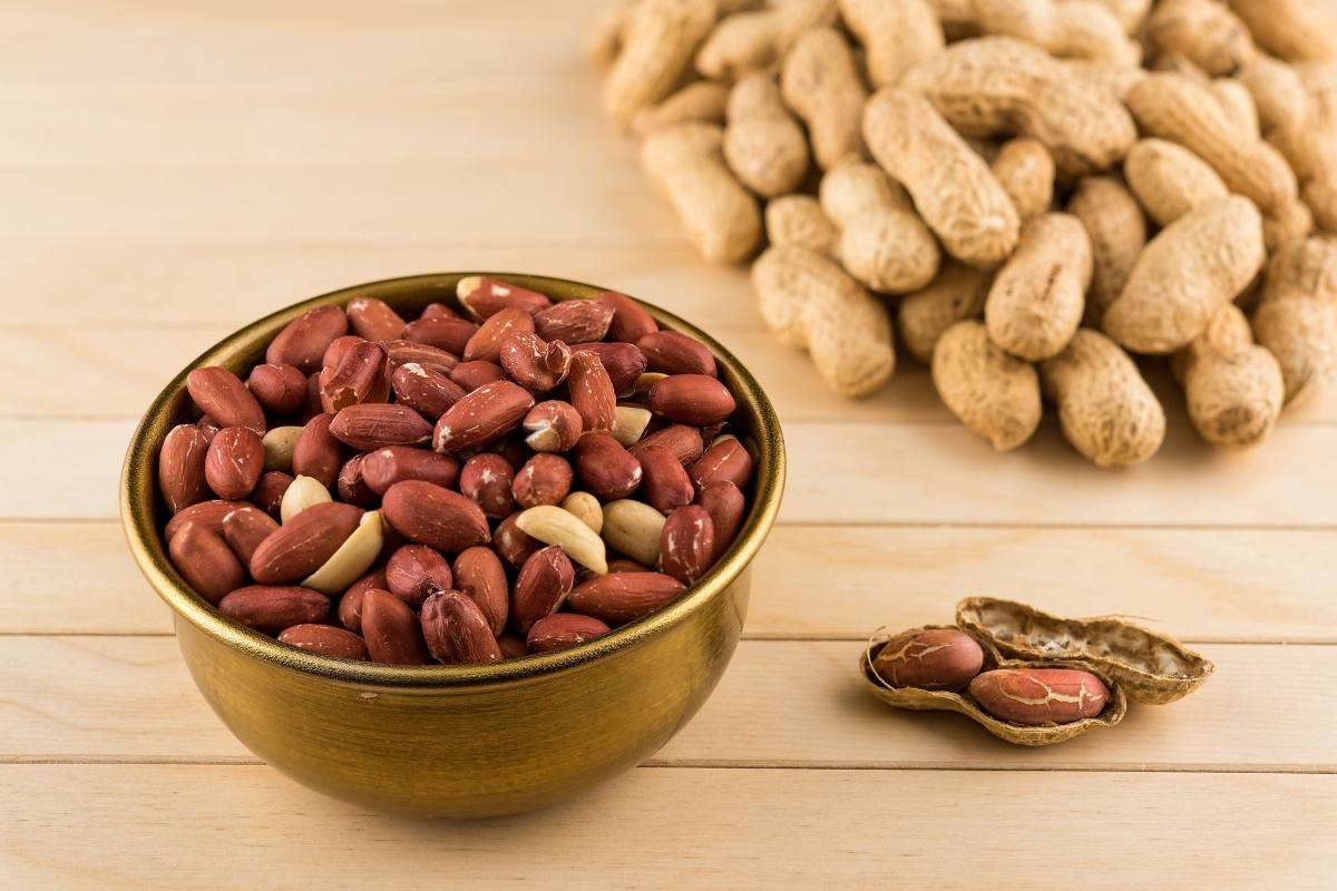 Passo a passo para cultivar amendoim; confira agora mesmo e veja como é fácil