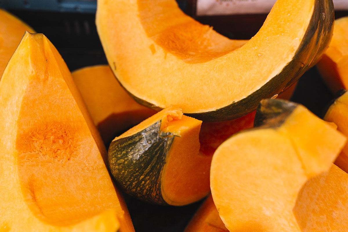 Saiba agora o que plantar em fevereiro - Reprodução Freepik