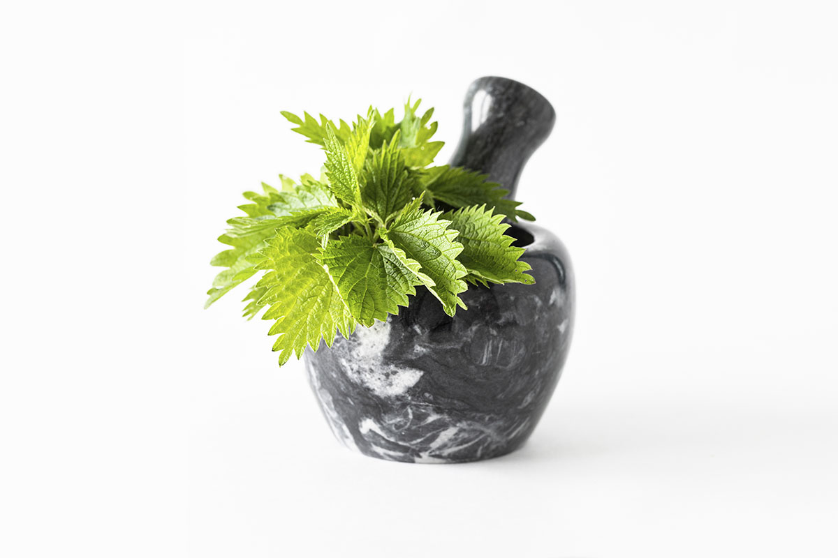 Saiba quais as 5 plantas venenosas para ter cuidado - Reprodução Freepik