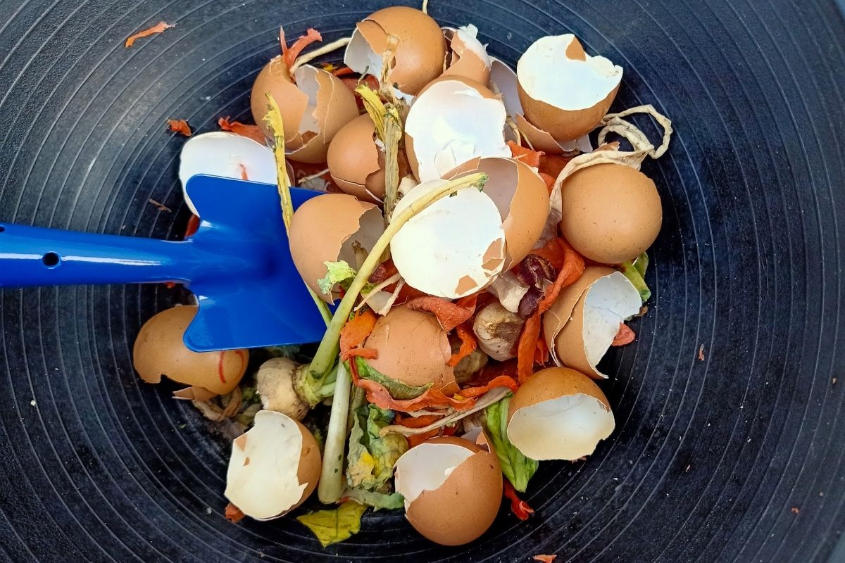 Adubo orgânico para hortas