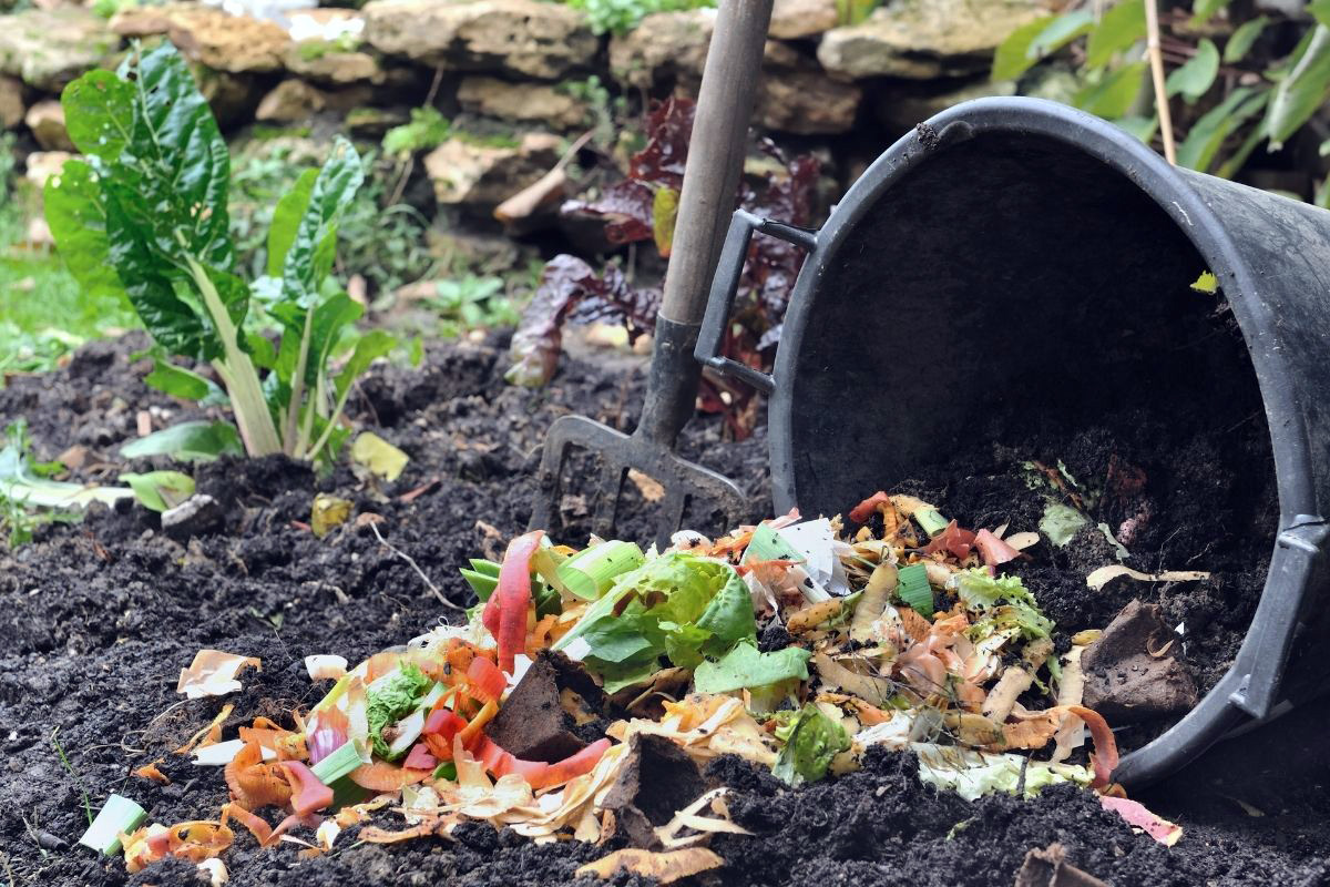 Prepare um adubo caseiro em pó