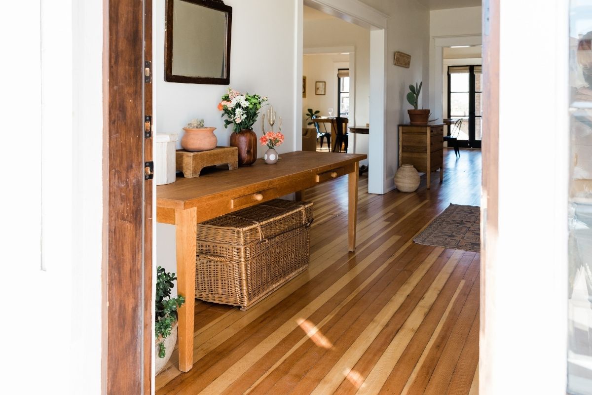 Plantas para interior de casa ou apartamento