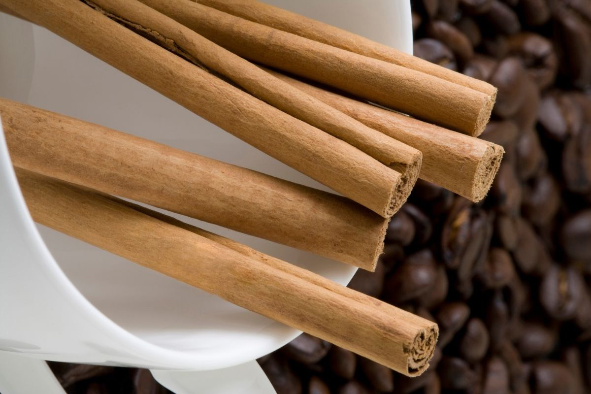 Adubo caseiro bem forte para hortas