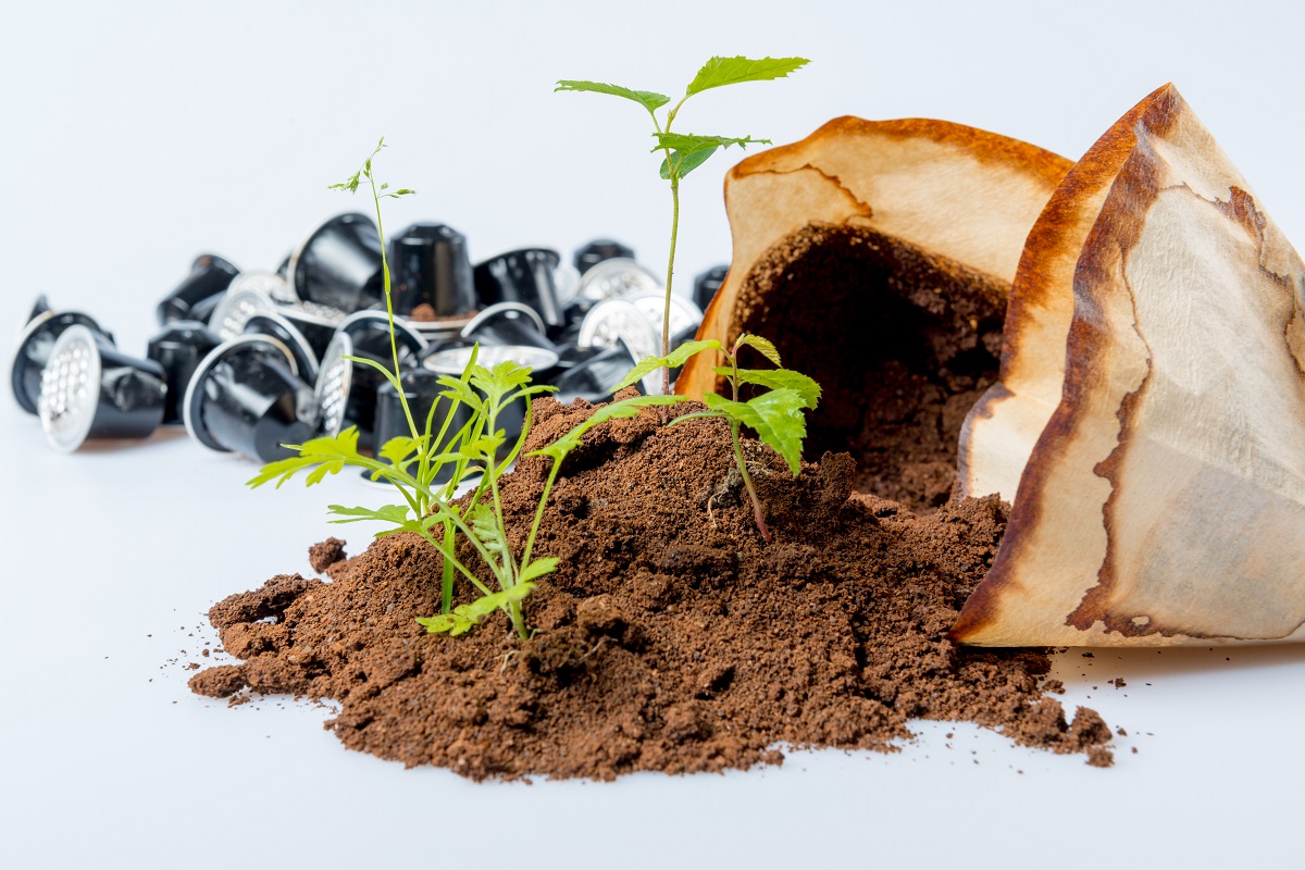 Adubo orgânico para sua horta - Reprodução AdobeStock