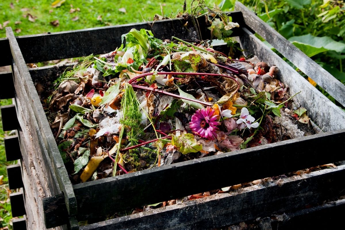 Saiba como fazer um adubo com reaproveitamento