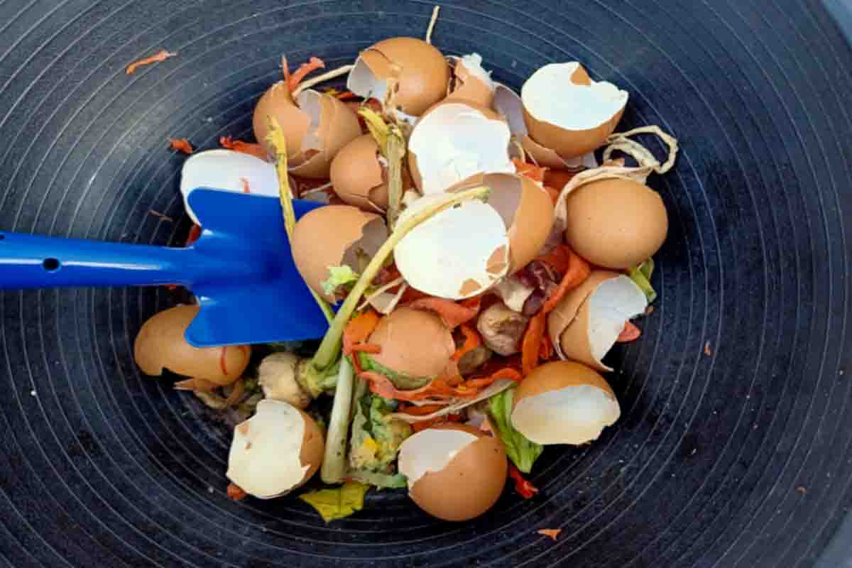 Adubo poderoso para as suas árvores