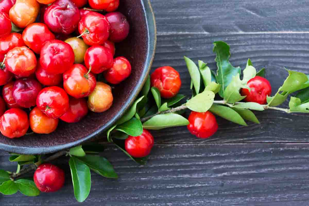 Dicas sobre frutíferas brasileiras - Reprodução Canva