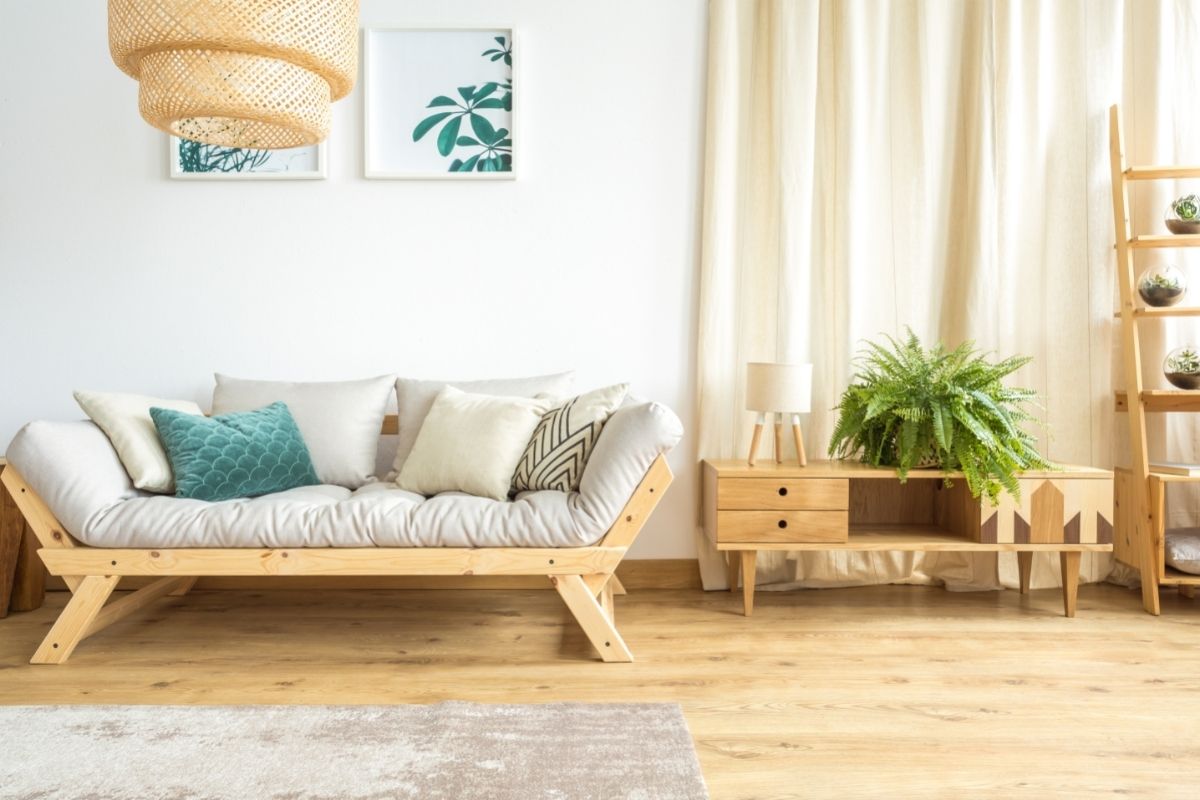 Guia completo sobre como cuidar de uma samambaia1