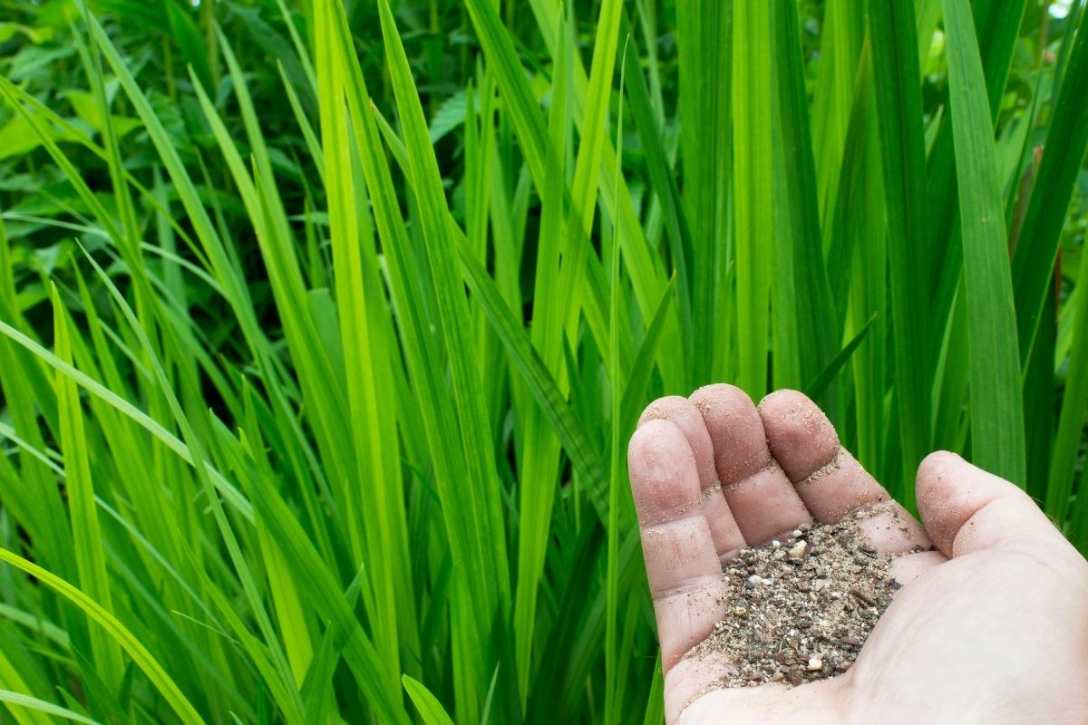 adubo bokashi - Reprodução Canva