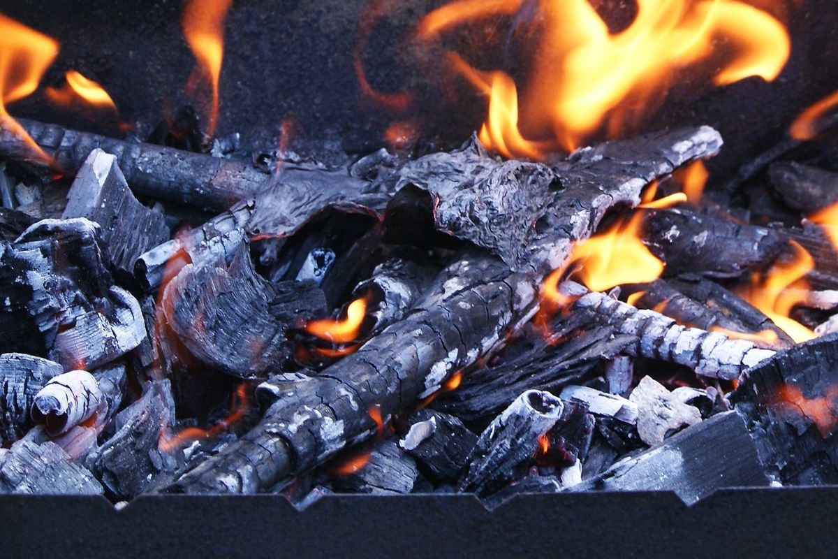 Adubo feito à base de cinzas de carvão