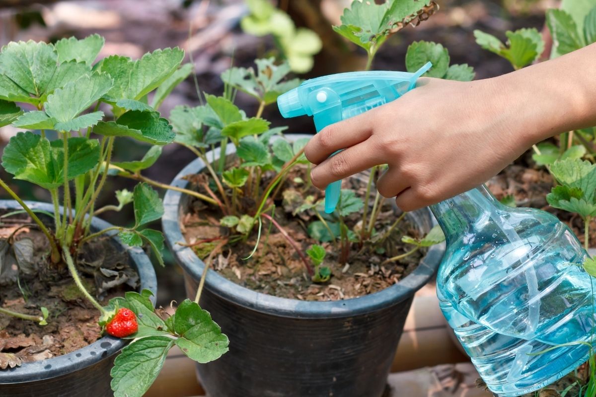 Como fazer um mata mato caseiro