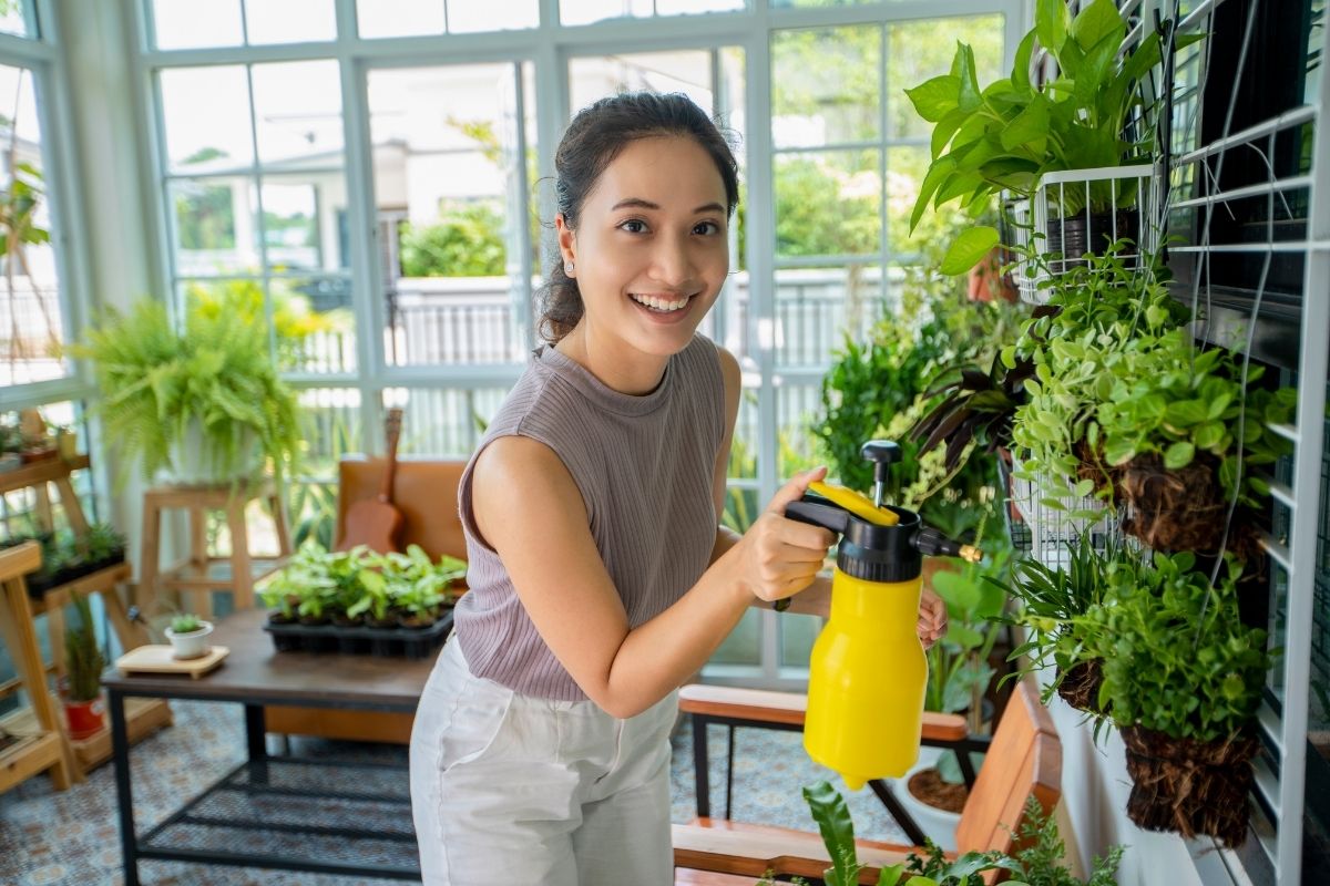 Dar fim em cochonilhas
