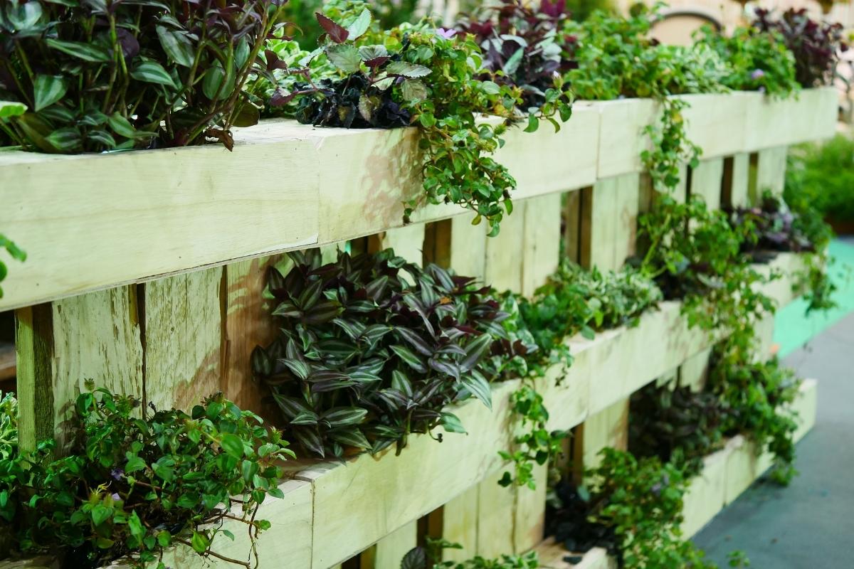 jardim vertical