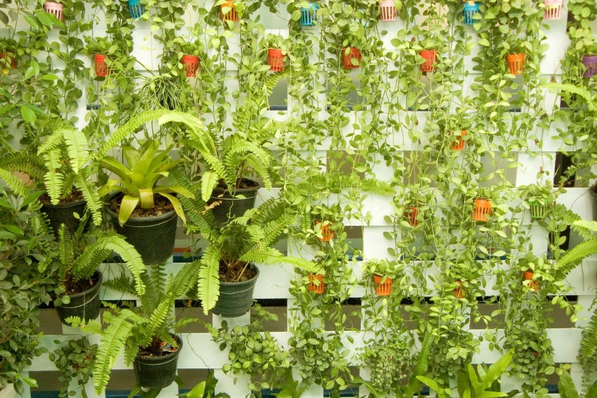 Jardim vertical