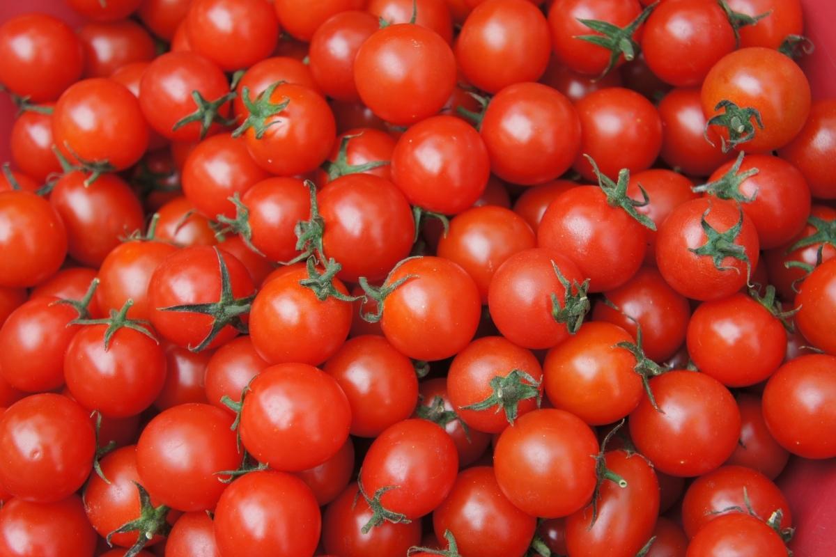 6 tipos de tomates