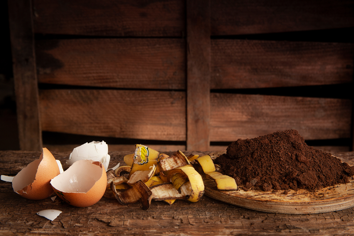 Adubo poderoso com casca de ovos