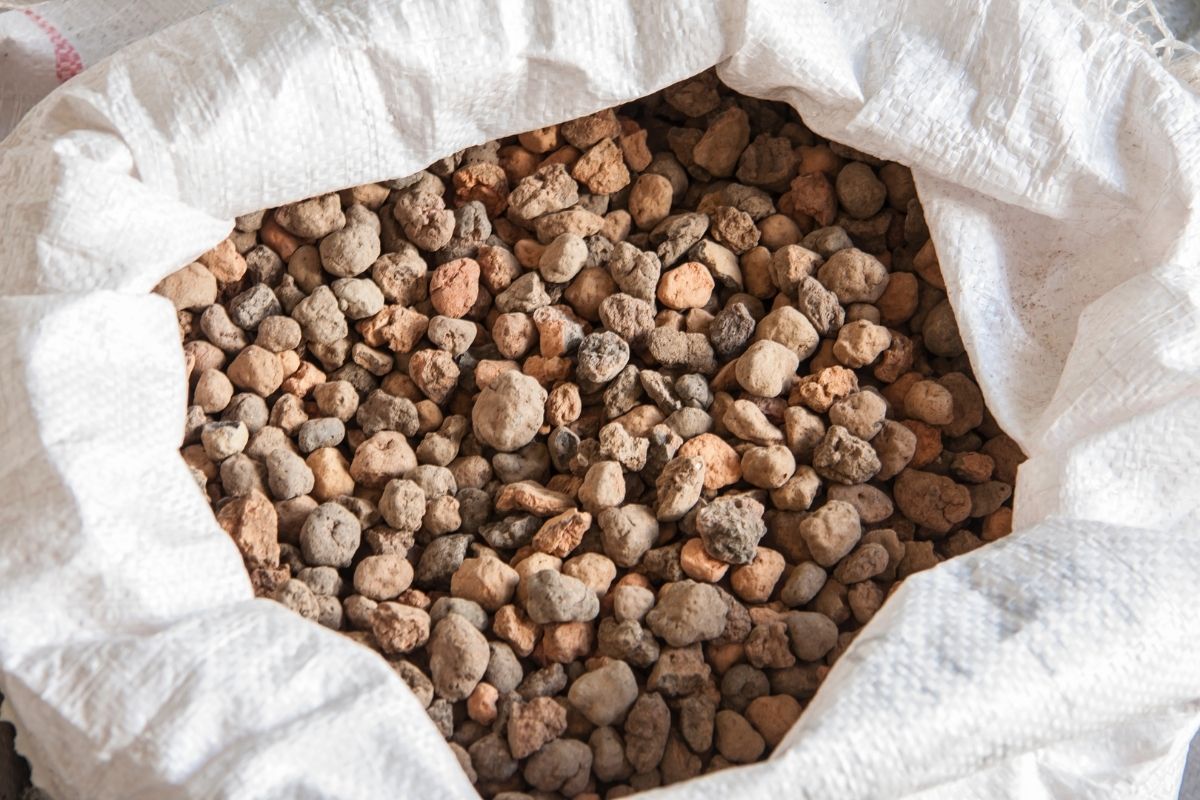 Como plantar argila expandida