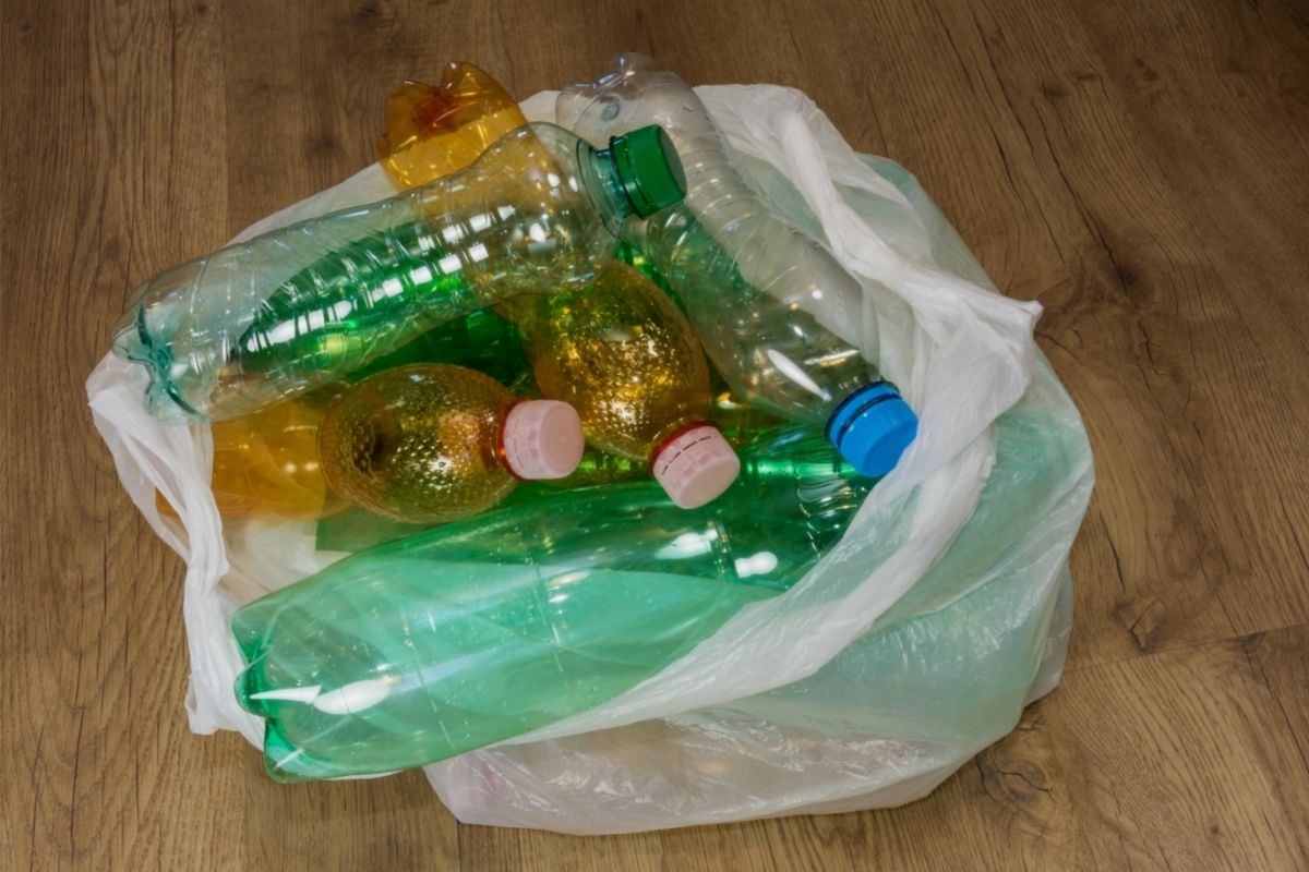 Plantar pimentas usando garrafas PET