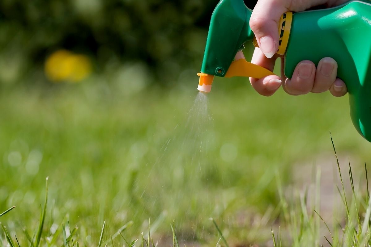 Saiba como fazer um mata-mato caseiro baratinho: Dê adeus à tiririca das plantas