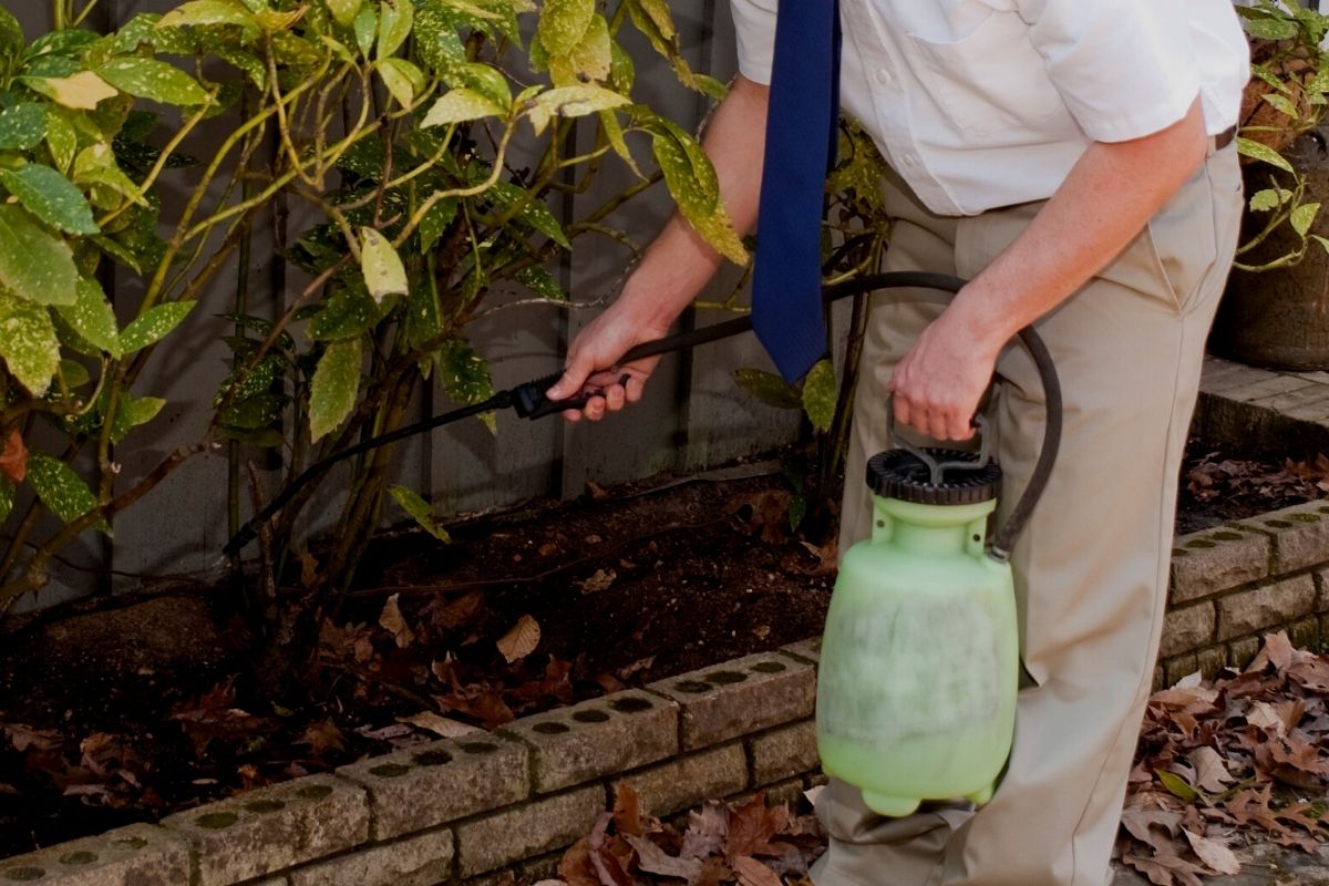 Como fazer um mata-mato baratinho e caseiro
