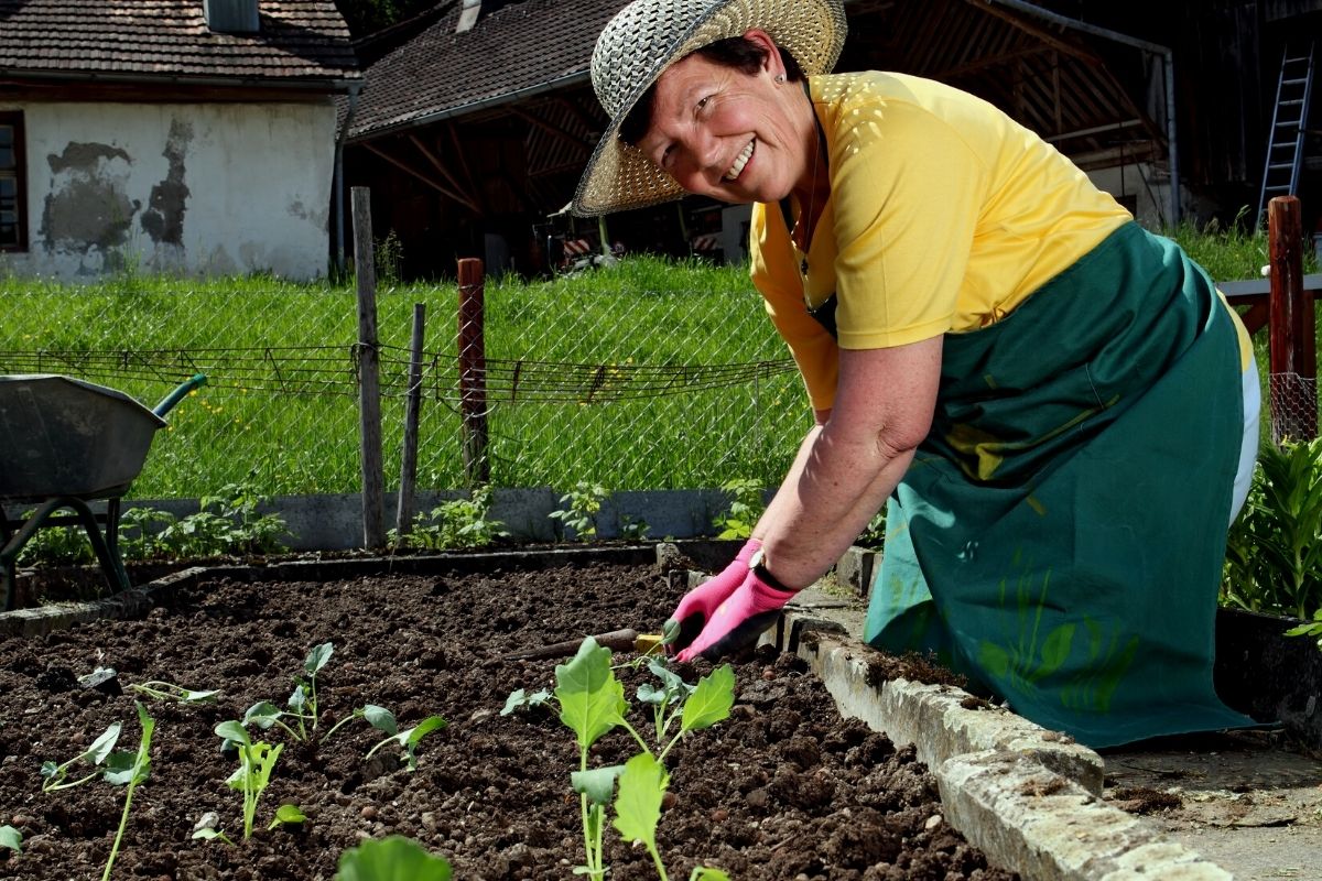 Como preparar adubo orgânico com sobras da cozinha