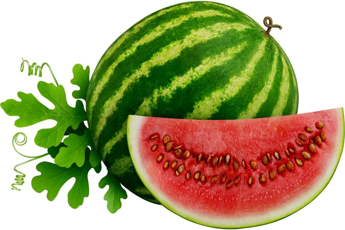 Como cultivar melancia em pequenos espaços