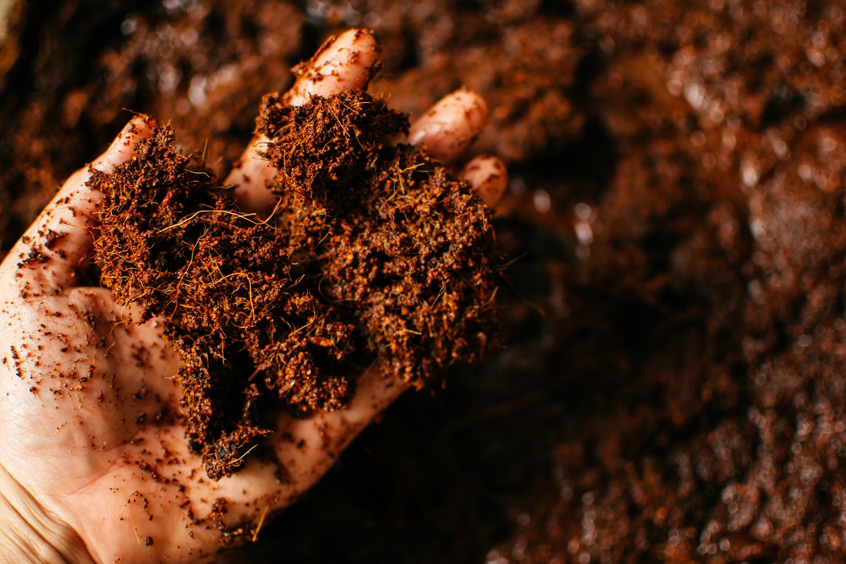Receita de adubo natural que faz suas plantas crescerem - Reprodução AdobeStock