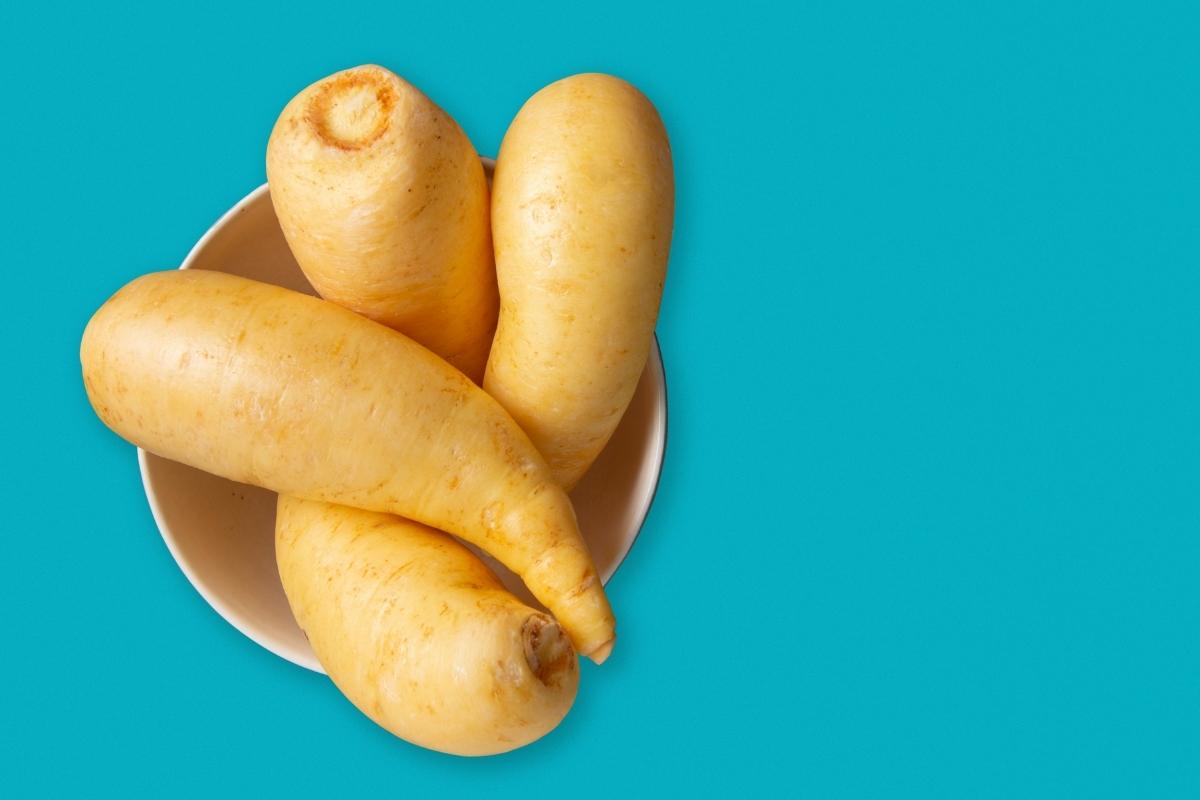 cultivar a mandioquinha em vasos