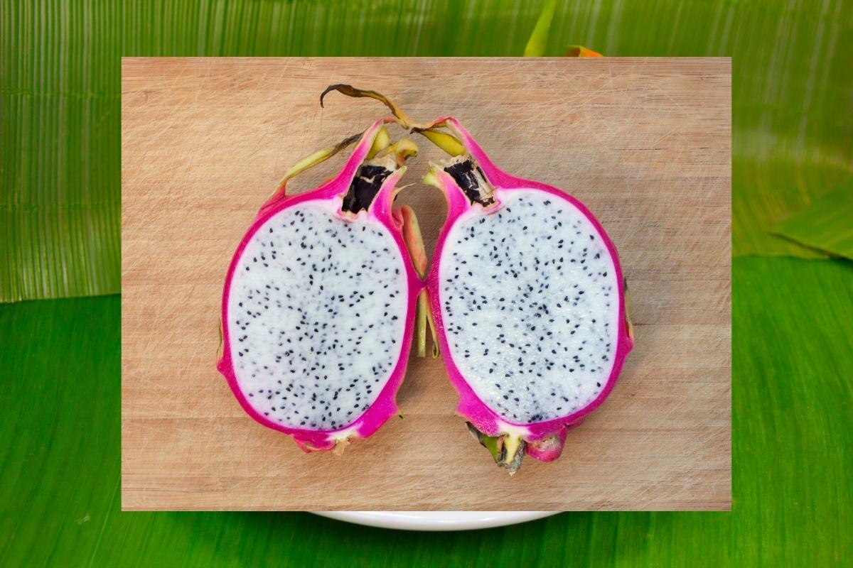 Plantar Pitaya