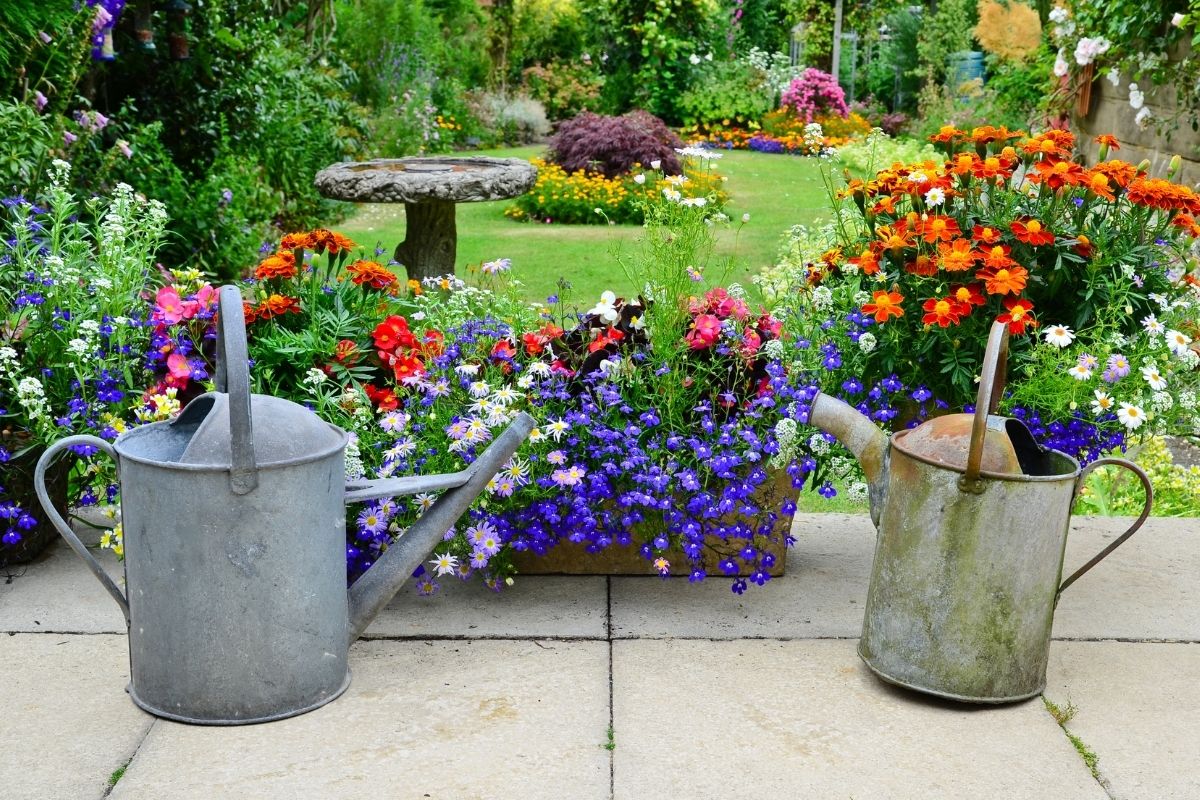 5 flores que trazem alegria para sua casa