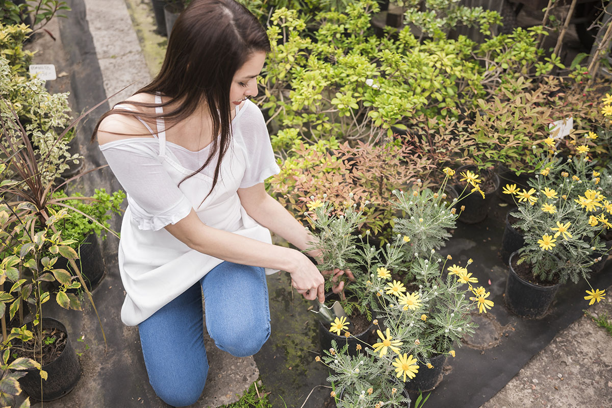 Como fazer abudo caseiro - Reprodução Freepik