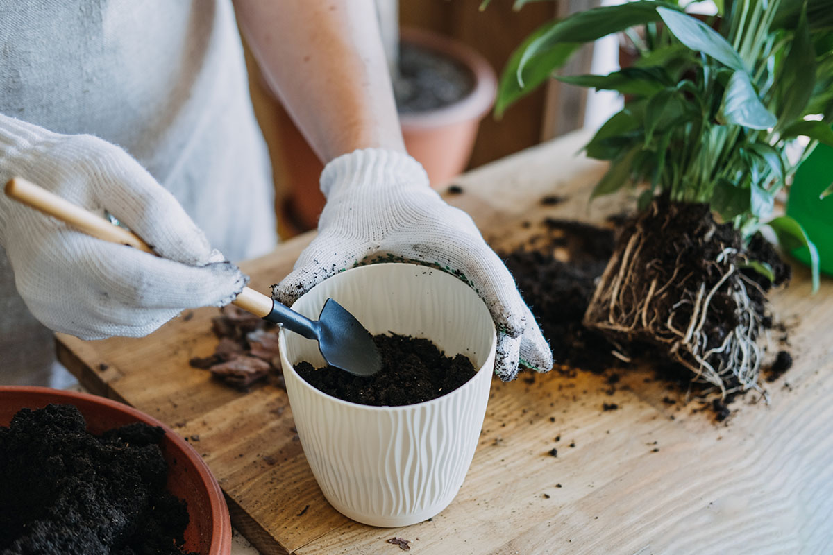 Como fazer um adubo verde poderoso - Reprodução Freepik