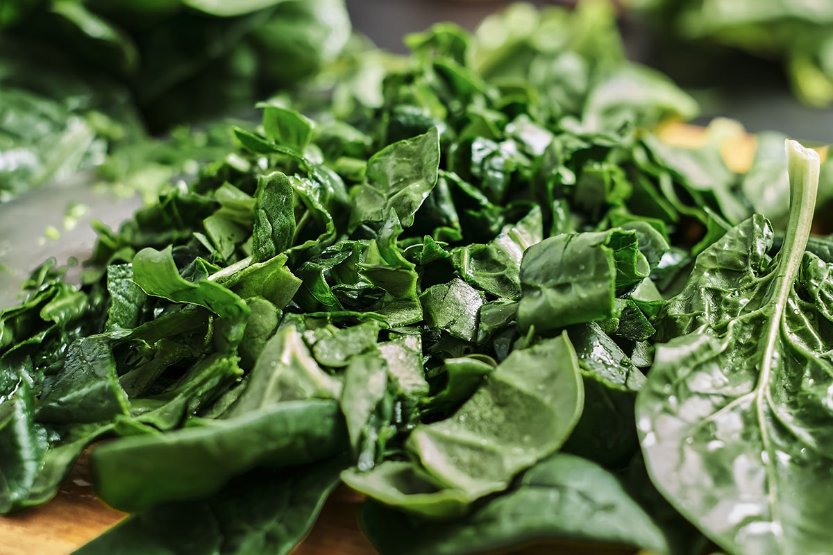 Cultivo de espinafre - Reprodução Freepik