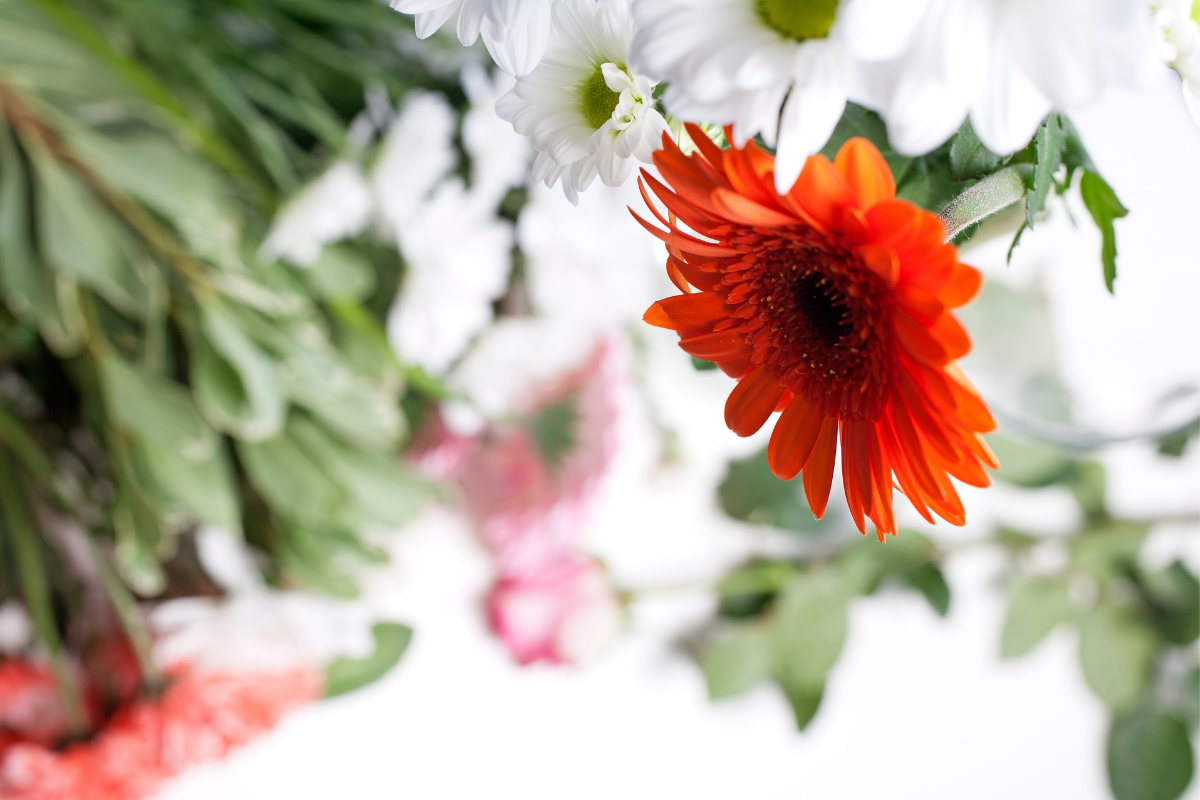 Descubra se é possível plantar flores cortadas