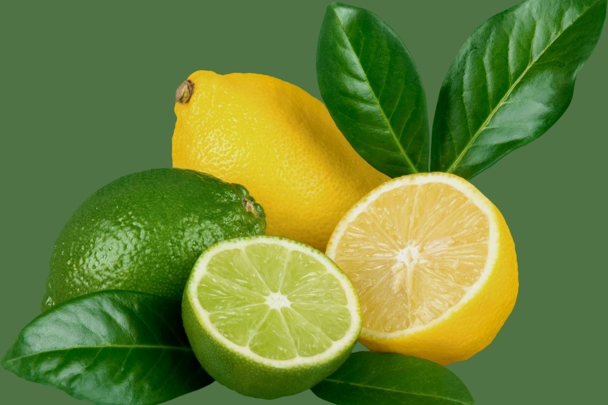 Como identificar a hora certa de colher limões?