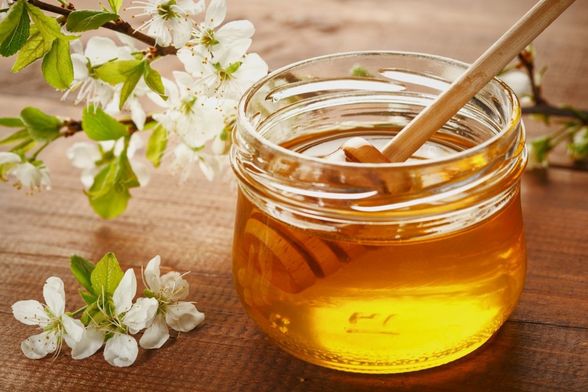 Utilize mel quando for plantar no seu jardim — Foto: Canva Pro.