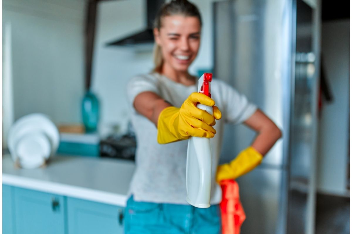 Acabar com infestação de moscas