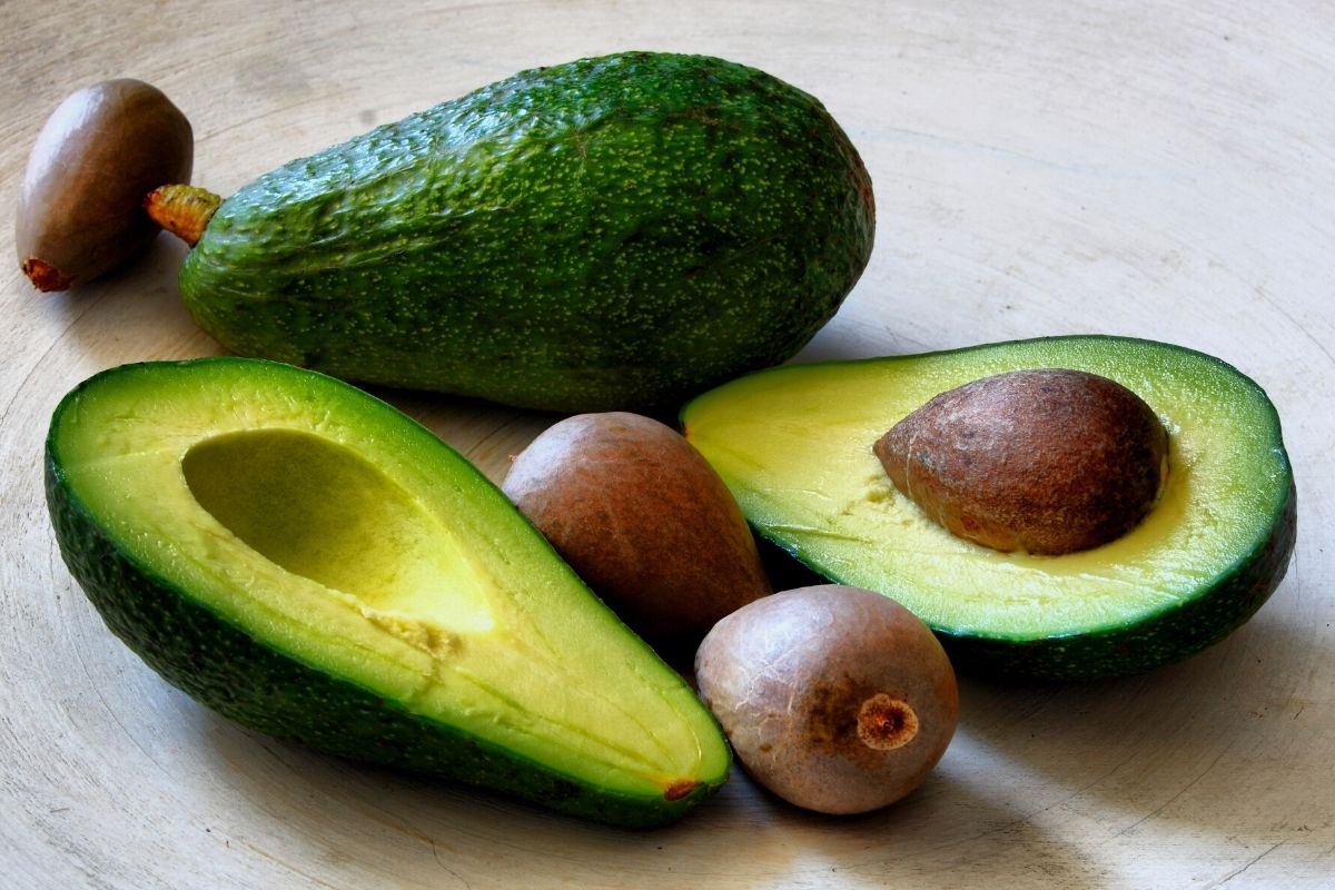 5 maneiras para reaproveitar o caroço do abacate - Foto: Canva Pro