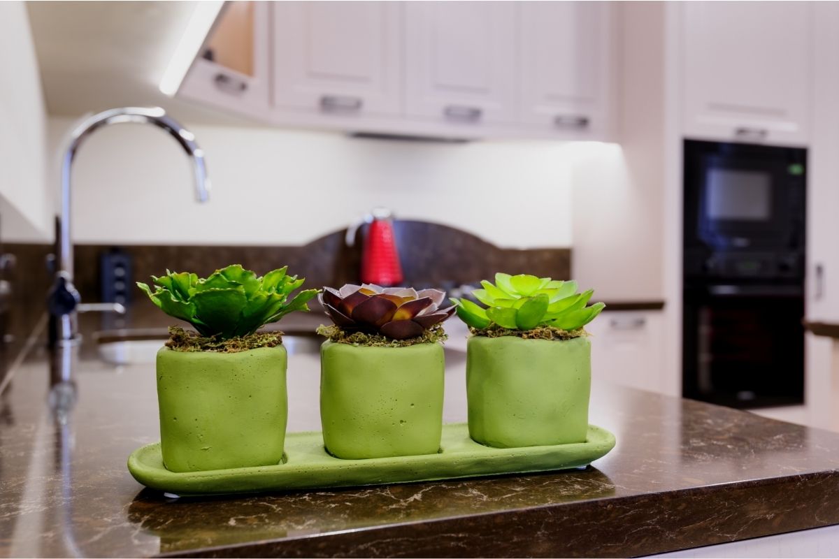 Plantas cozinha decorar ambiente