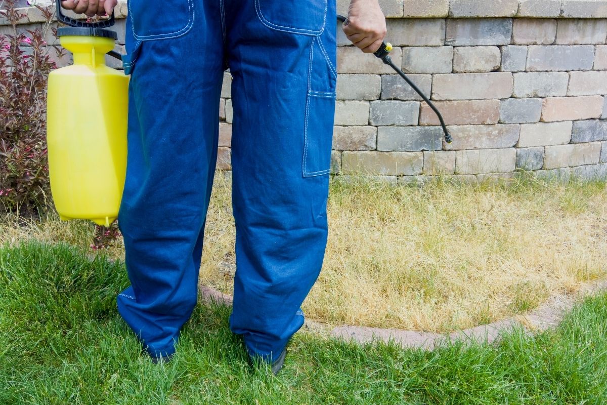 Mata-mato caseiro super potente