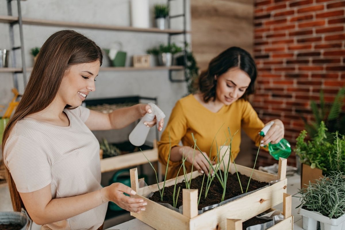O que plantar em junho em cada região do Brasil
