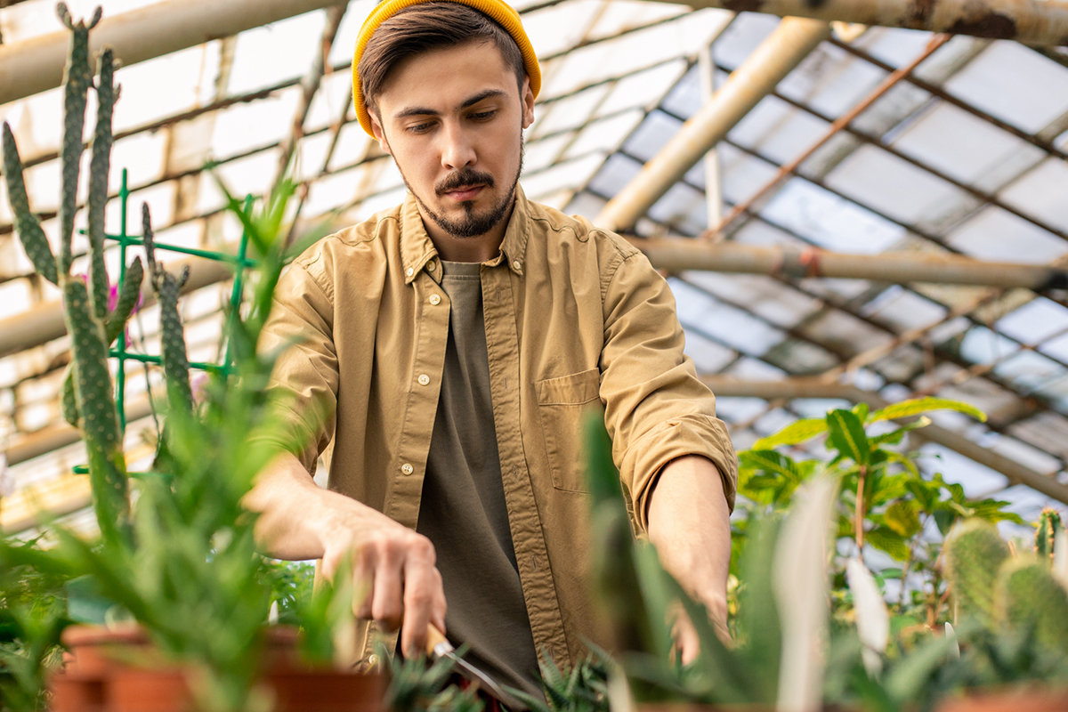 Adubo prático e fácil