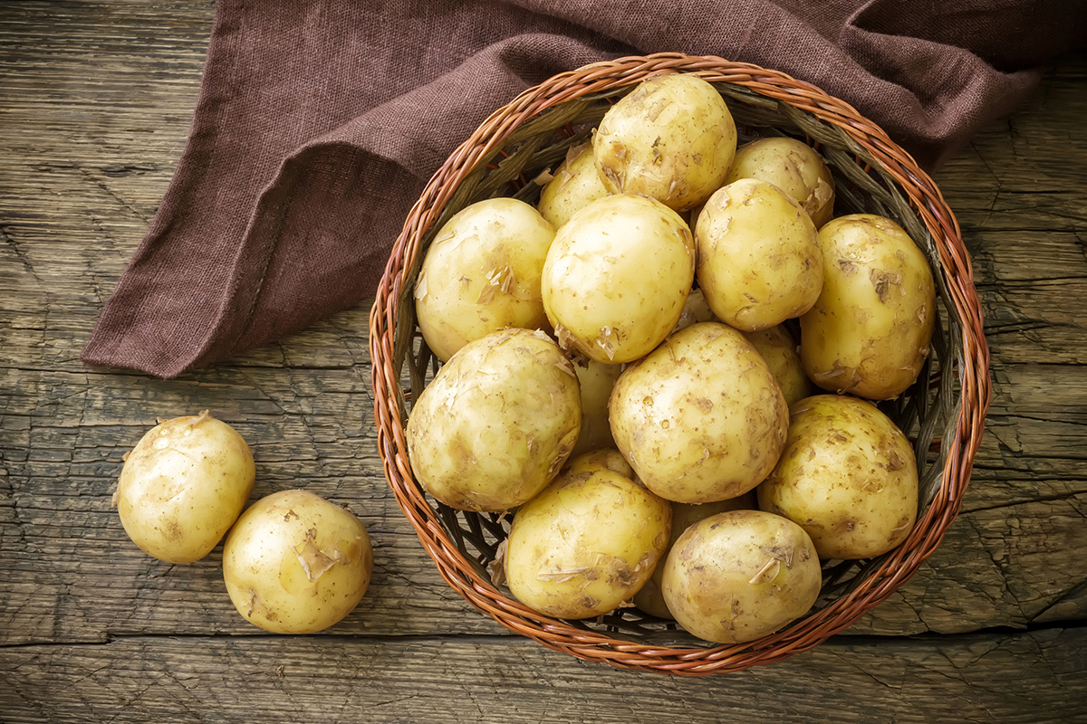 Quais os benefícios que esse adubo traz para as plantas - Reprodução Canva