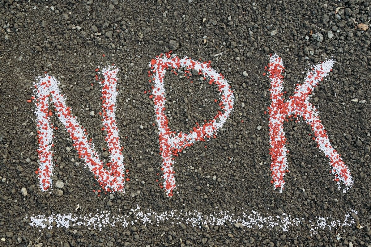 Adubo turbina plantas frutos