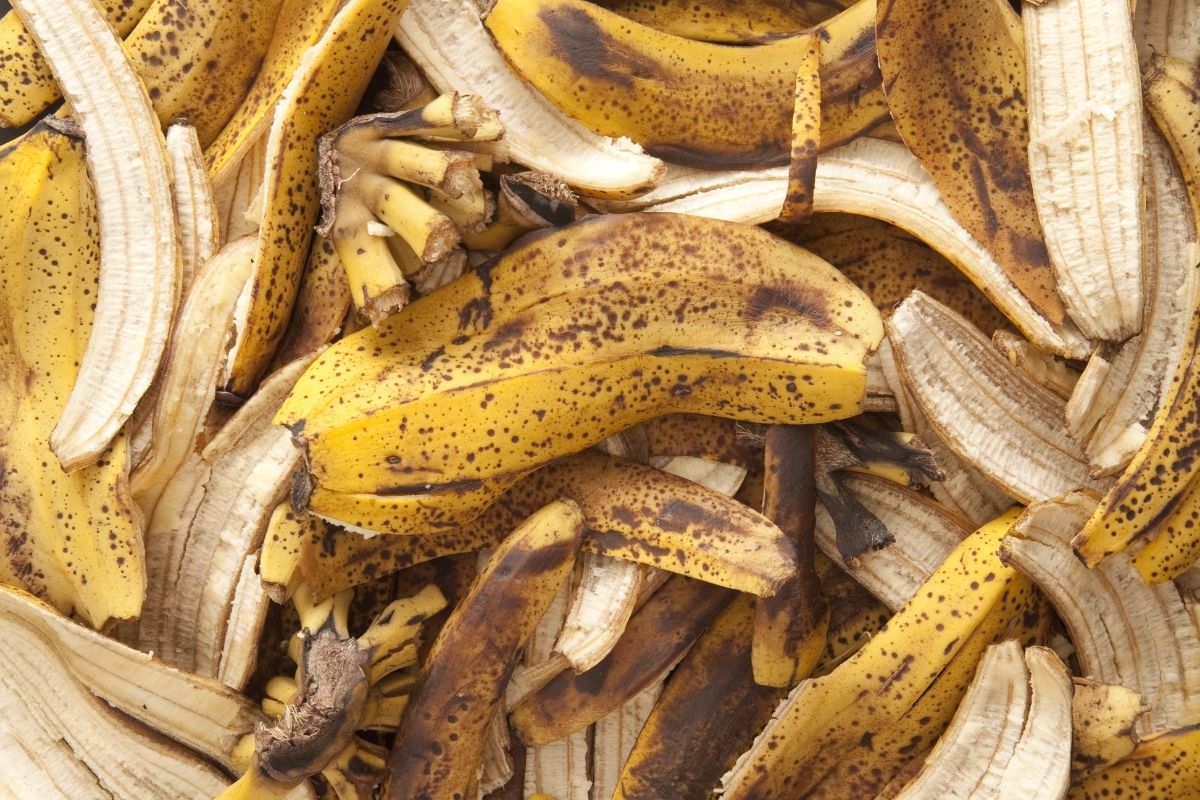 Cascas de banana adubo