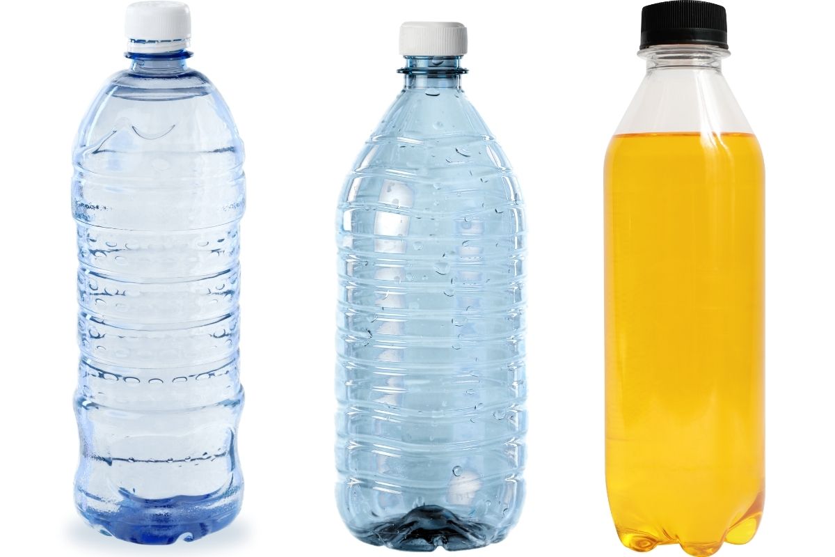 Como cultivar pimenta calabresa em garrafa pet